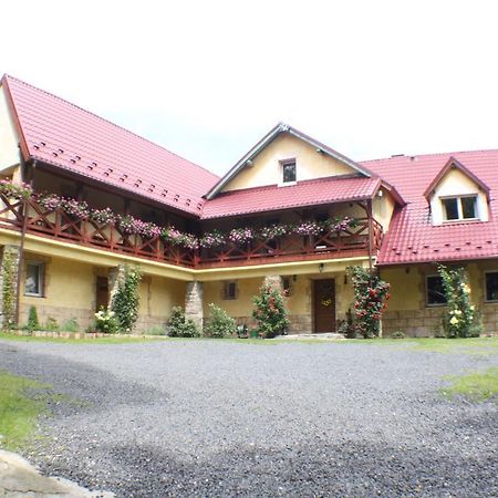 Bed and Breakfast Dom Na Klonowym Wzgorzu Строне-Слёнске Экстерьер фото