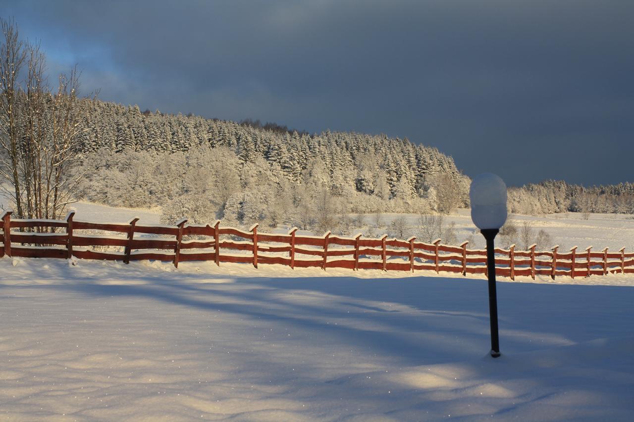 Bed and Breakfast Dom Na Klonowym Wzgorzu Строне-Слёнске Экстерьер фото