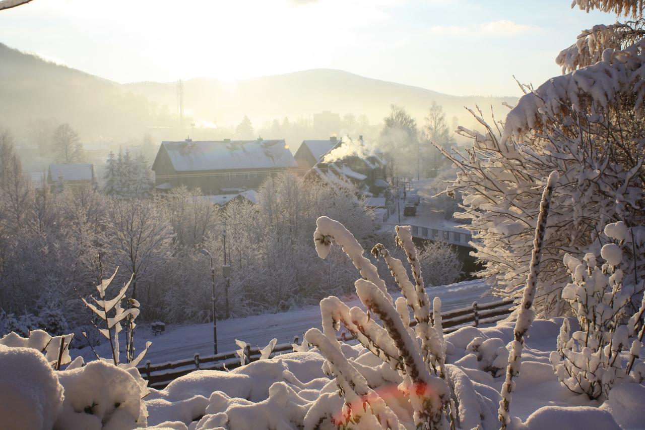 Bed and Breakfast Dom Na Klonowym Wzgorzu Строне-Слёнске Экстерьер фото