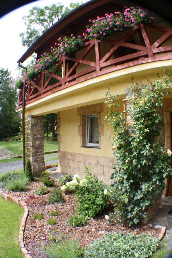 Bed and Breakfast Dom Na Klonowym Wzgorzu Строне-Слёнске Экстерьер фото