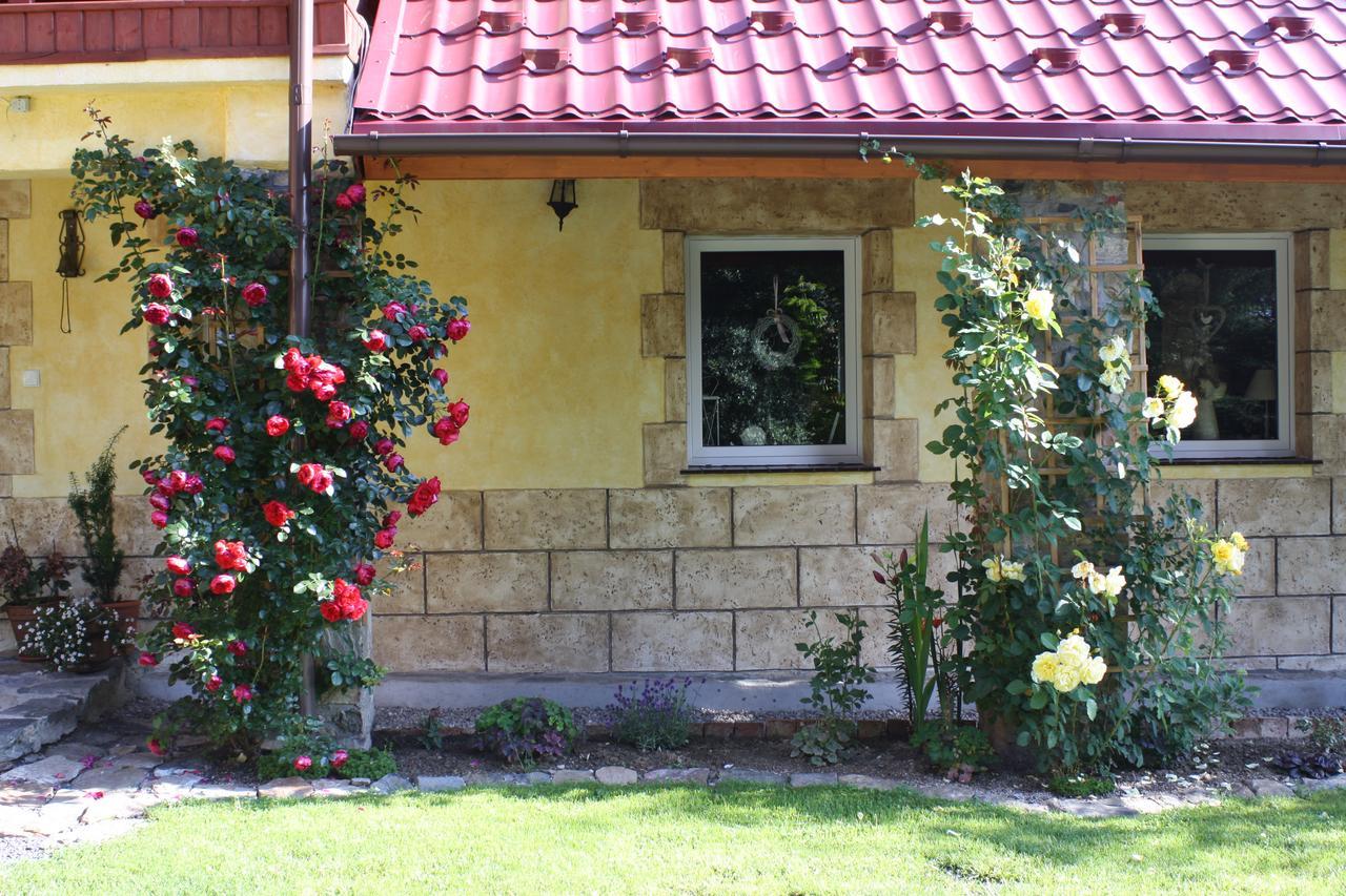 Bed and Breakfast Dom Na Klonowym Wzgorzu Строне-Слёнске Экстерьер фото