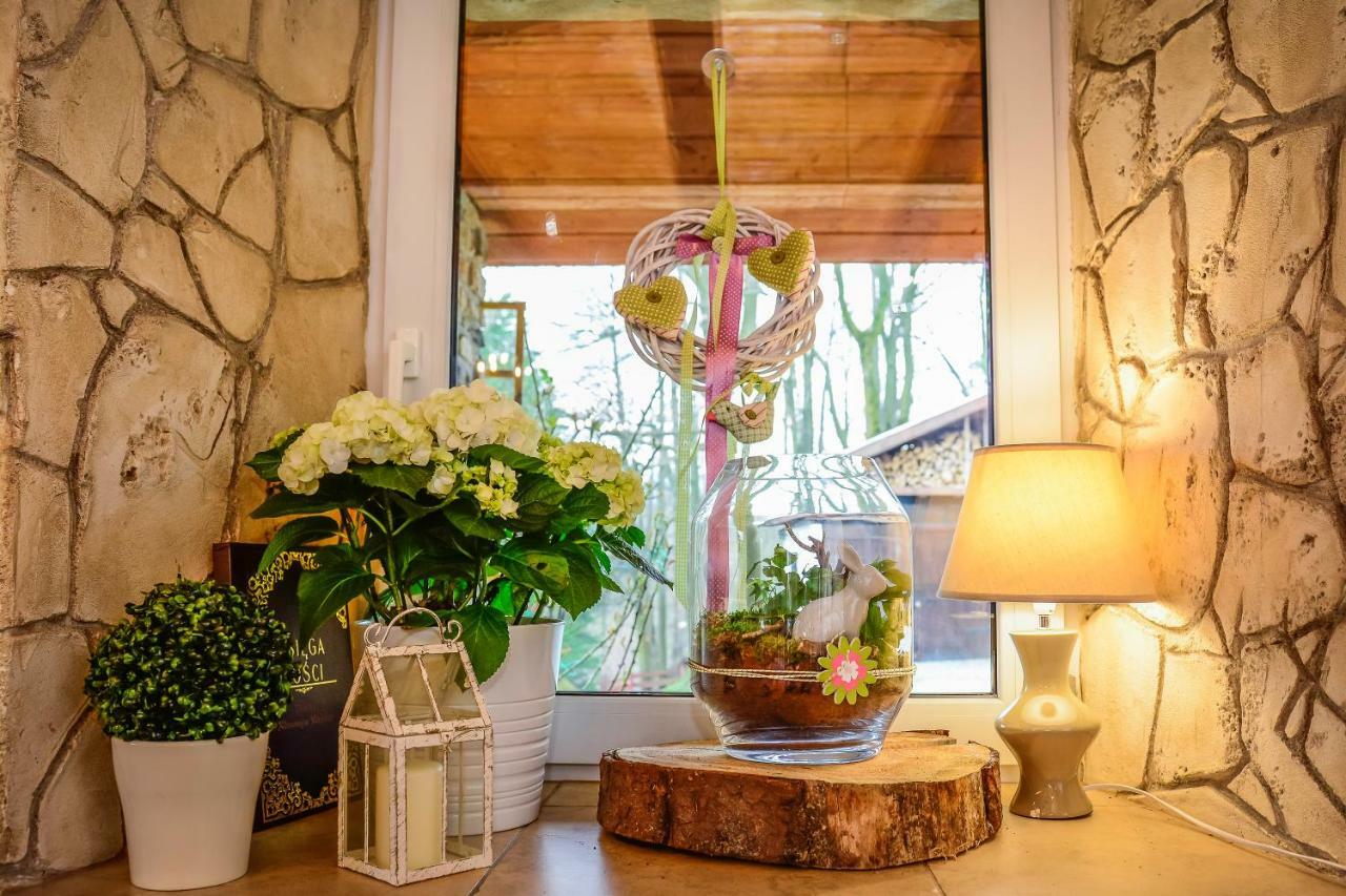 Bed and Breakfast Dom Na Klonowym Wzgorzu Строне-Слёнске Экстерьер фото