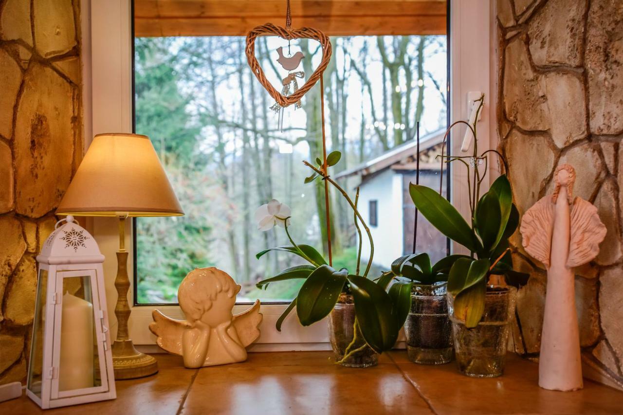 Bed and Breakfast Dom Na Klonowym Wzgorzu Строне-Слёнске Экстерьер фото